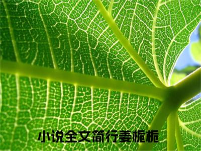 简行姜栀栀（简行姜栀栀）最新章节免费阅读全文-完结小说简行姜栀栀在线阅读