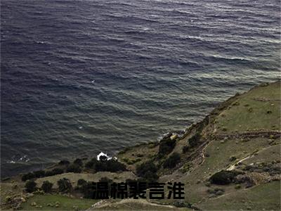 温棉裴言淮阅读无弹窗大结局_温棉裴言淮最新章节列表_笔趣阁