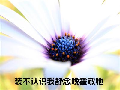 舒念晚霍敬驰小说（装不认识我）全文免费阅读无弹窗大结局_装不认识我小说最新章节列表_笔趣阁