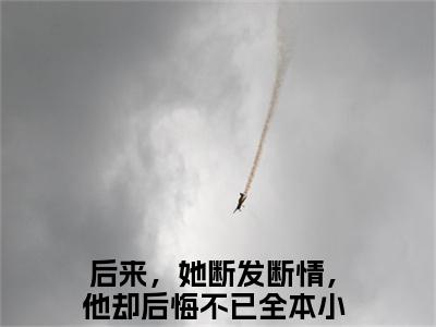 后来，她断发断情，他却后悔不已（林意晚沈明乾）全文无弹窗阅读-精彩小说林意晚沈明乾（后来，她断发断情，他却后悔不已）