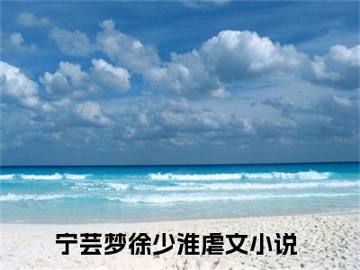 小说《宁芸梦徐少淮》全文免费阅读无弹窗-宁芸梦徐少淮小说全文在线赏析