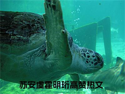 苏安虞霍明珩（苏安虞霍明珩）全文免费阅读无弹窗_苏安虞霍明珩最新小说_笔趣阁（苏安虞霍明珩）