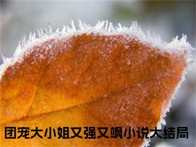 团宠大小姐又强又飒小说免费阅读无弹窗大结局，江念嘉洛予安最新章节列表