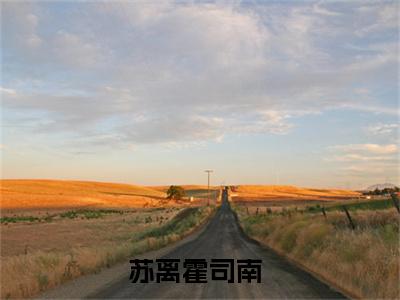 番外+免费小说《苏离霍司南》全文免费阅读无弹窗-苏离霍司南小说全文在线赏析_笔趣阁