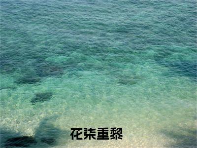 花柒重黎（花柒重黎）全文免费阅读无弹窗大结局_花柒重黎最新章节列表_笔趣阁（免费+番外）