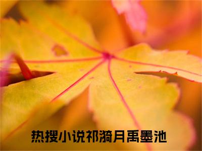 祁漪月禹墨池(祁漪月禹墨池)全文免费阅读无弹窗大结局_祁漪月禹墨池免费阅读无弹窗最新章节列表_笔趣阁