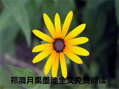 祁漪月禹墨池小说（祁漪月禹墨池）全文免费阅读无弹窗大结局_（祁漪月禹墨池）祁漪月禹墨池小说免费阅读无弹窗最新章节列表_笔趣阁（祁漪月禹墨池）