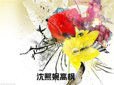 沈熙婉高枫在线阅读的小说完整版-沈熙婉高枫（沈熙婉高枫）小说免费阅读