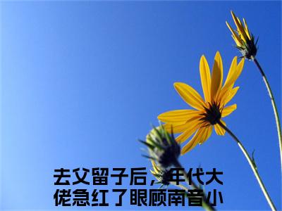 （去父留子后，年代大佬急红了眼顾南音）抖音去父留子后，年代大佬急红了眼顾南音小说阅读完结版-小说去父留子后，年代大佬急红了眼顾南音全文免费阅读