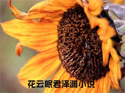 花云眠君泽渊抖音最新热点小说，花云眠君泽渊小说最新章节阅读