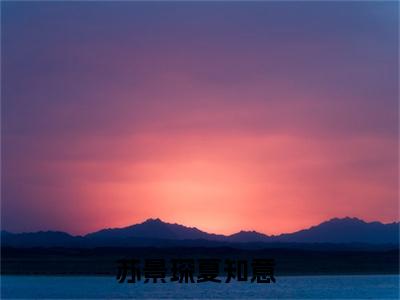 苏景琛夏知意(苏景琛夏知意)全文免费阅读无弹窗大结局-苏景琛夏知意全文无弹窗免费阅读