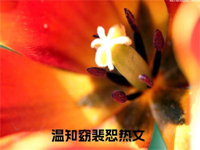 温知窈裴恕（温知窈裴恕）最新章节阅读-温知窈裴恕无广告在线阅读