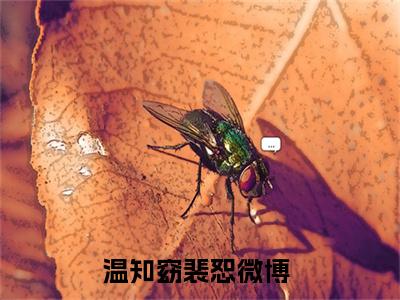 温知窈裴恕(温知窈裴恕)全文免费阅读无弹窗大结局_(温知窈裴恕在线阅读)温知窈裴恕最新章节列表笔趣阁（温知窈裴恕）