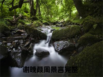 免费小说（谢晚葭周景言）全文无弹窗阅读 谢晚葭周景言大结局免费阅读无弹窗