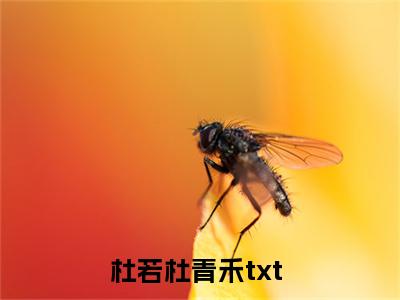 杜若杜青禾（杜若杜青禾）全文免费阅读无弹窗_杜若杜青禾最新小说_笔趣阁（杜若杜青禾）