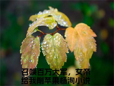 召唤百万大军，女帝给我削苹果杨洵（召唤百万大军，女帝给我削苹果杨洵）小说在线阅读_召唤百万大军，女帝给我削苹果杨洵全本免费小说阅读（召唤百万大军，女帝给我削苹果杨洵）