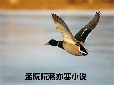 免费小说（孟阮阮蒋亦寒）全文免费阅读无弹窗-孟阮阮蒋亦寒小说全文在线赏析