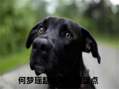 何梦瑶赵亦寒（何梦瑶赵亦寒）全文免费阅读无弹窗大结局_何梦瑶赵亦寒小说在线阅读全文