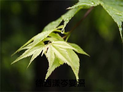 抖音新书热荐小说（徐西漾岑宴深）主角是（徐西漾岑宴深）小说免费阅读小说无弹窗阅读_笔趣阁