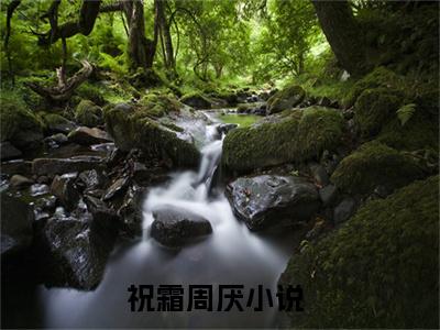 祝霜周厌全文小说全章节阅读