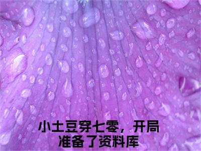 白果果贺刚（小土豆穿七零，开局准备了资料库）全文小说-白果果贺刚小说最新章节免费阅读（免费）+（全文）