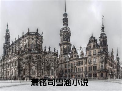 萧铭司雪涵小说(萧铭司雪涵)全文免费阅读无弹窗(小说全文免费阅读)萧铭司雪涵最新章节列表_笔趣阁