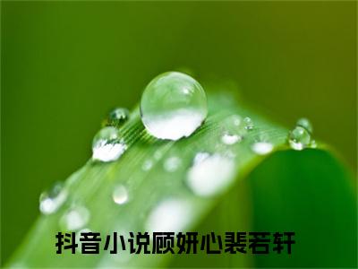 顾妍心裴若轩最新章节在线阅读-全文小说顾妍心裴若轩