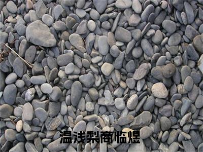 温浅梨商临煜（温浅梨商临煜）全文免费阅读无弹窗大结局_温浅梨商临煜最新章节列表_笔趣阁（温浅梨商临煜）