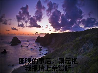 《那晚的事后，薄总把我摁墙上亲》全文免费阅读无弹窗大结局-薄瑨深苏星梨无弹窗阅读