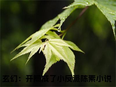 玄幻：开局成了小反派陈素小说_玄幻：开局成了小反派陈素全文阅读_小说免费阅读最新章节列表(玄幻：开局成了小反派陈素)笔趣阁