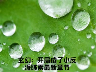 主角是玄幻：开局成了小反派陈素的小说叫什么名字玄幻：开局成了小反派陈素-老书虫书荒推荐热点小说（玄幻：开局成了小反派陈素）