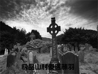 极品山村傻医林羽无删减（极品山村傻医林羽）全文免费阅读无弹窗大结局_极品山村傻医林羽最新章节列表（极品山村傻医林羽）