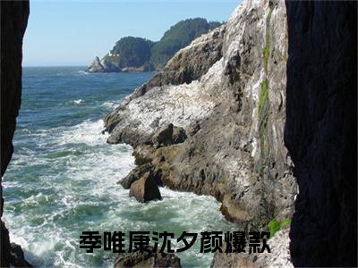 季唯康沈夕颜(季唯康沈夕颜)全文免费阅读无弹窗大结局_(季唯康沈夕颜免费阅读全文大结局)最新章节列表_笔趣阁（季唯康沈夕颜）