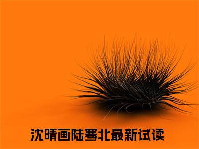 沈晴画陆骞北（沈晴画陆骞北）全文免费阅读大结局-沈晴画陆骞北最新章节免费阅读大结局