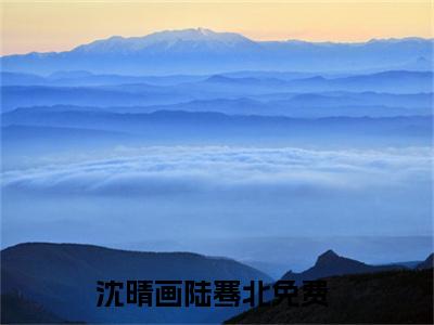 沈晴画陆骞北全文免费阅读_（沈晴画陆骞北免费阅读无弹窗）沈晴画陆骞北最新章节列表