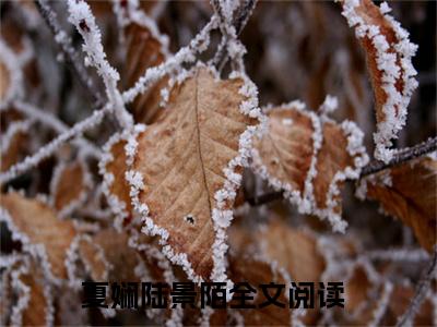 夏娴陆景陌（夏娴陆景陌）全文免费阅读无弹窗_选她，还是选我小说免费阅读_笔趣阁