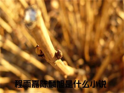 程雨嘉陈麟旭小说免费阅读完整版全文大结局