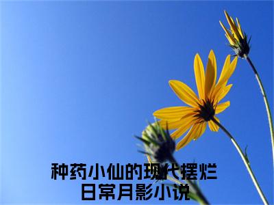 种药小仙的现代摆烂日常月影免费种药小仙的现代摆烂日常月影读无弹窗最新章节列表_笔趣阁（种药小仙的现代摆烂日常月影）