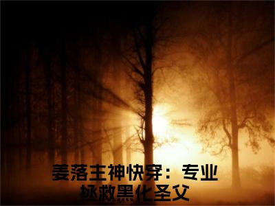 小说（快穿：专业拯救黑化圣父）姜落主神全文免费阅读无弹窗-姜落主神小说全文在线赏析（今日更新最新章节）