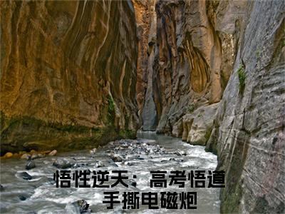 悟性逆天：高考悟道，手撕电磁炮（苏勤）全文免费阅读无弹窗-苏勤小说完整版在线阅读