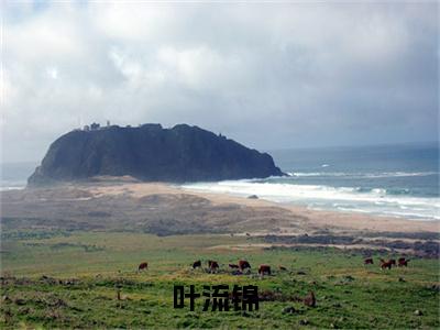 嫡女谋：重生携清冷王爷共夺江山（叶流锦）全文免费阅读_（叶流锦）小说嫡女谋：重生携清冷王爷共夺江山最新章节阅读