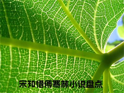 宋知惜傅寒林（宋知惜傅寒林）小说全本完结版免费阅读