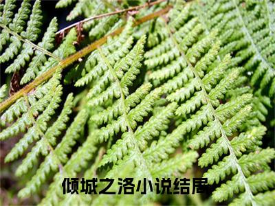 倾城之洛小说主角是（季愿晏泊淮）全文完整版免费阅读最新章节列表_季愿晏泊淮小说在线阅读