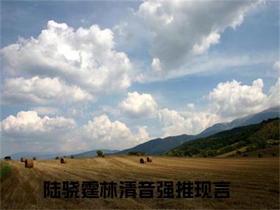 陆骁霆林清音最新章节（陆骁霆林清音全文+后续）全文免费阅读无弹窗大结局_陆骁霆林清音全文+后续免费阅读（陆骁霆林清音）