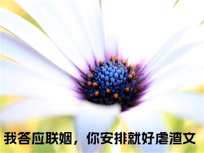 我答应联姻，你安排就好小说（乔宁宁陆时宴）全文免费阅读_（乔宁宁陆时宴）我答应联姻，你安排就好小说最新章节列表