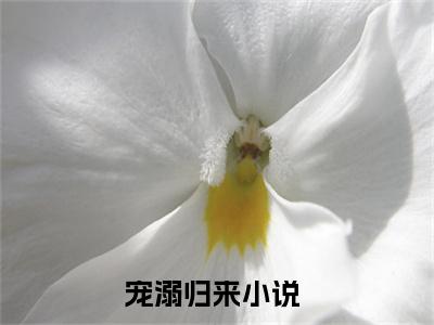 楚挽绵墨景夙全文免费阅读大结局宠溺归来最新章节列表（全文）+（番外）