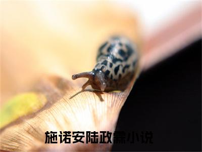 小说名字是：施诺安陆政霖的小说全文免费阅读-（施诺安陆政霖小说免费阅读）施诺安陆政霖正版小说免费阅读_笔趣阁