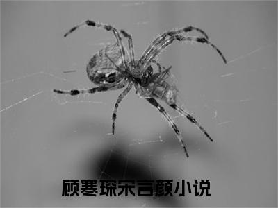 顾寒琛宋言颜（顾寒琛宋言颜）是什么小说-小说顾寒琛宋言颜全文阅读