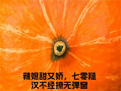 乐鸣桃喜（辣媳甜又娇，七零糙汉不经撩）全文在线阅读无弹窗大结局_（辣媳甜又娇，七零糙汉不经撩）最新章节列表_笔趣阁