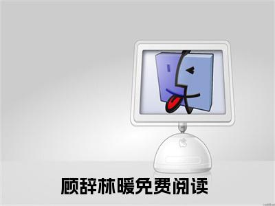 顾辞林暖小说(顾辞林暖)小说全文免费阅读_（顾辞林暖）顾辞林暖最新章节列表